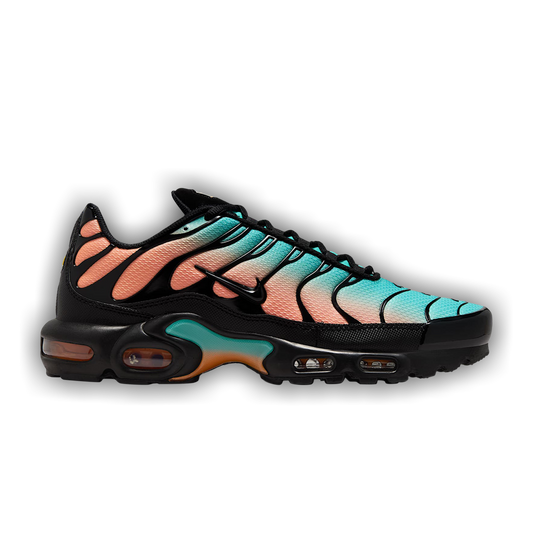 Nike Air Max Plus South Beach