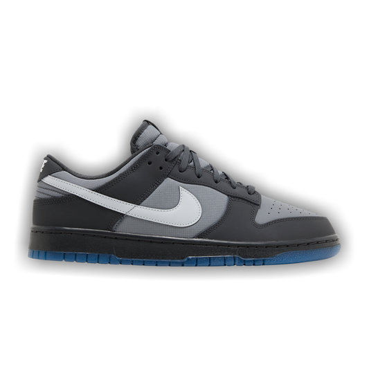 NIKE Schuhe  FV0384-001